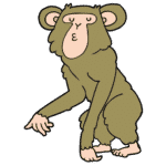 Chimpanzee