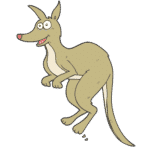 Kangaroo