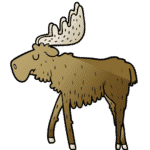 Elk