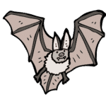 Bat