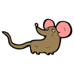 Rat