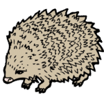 Hedgehog